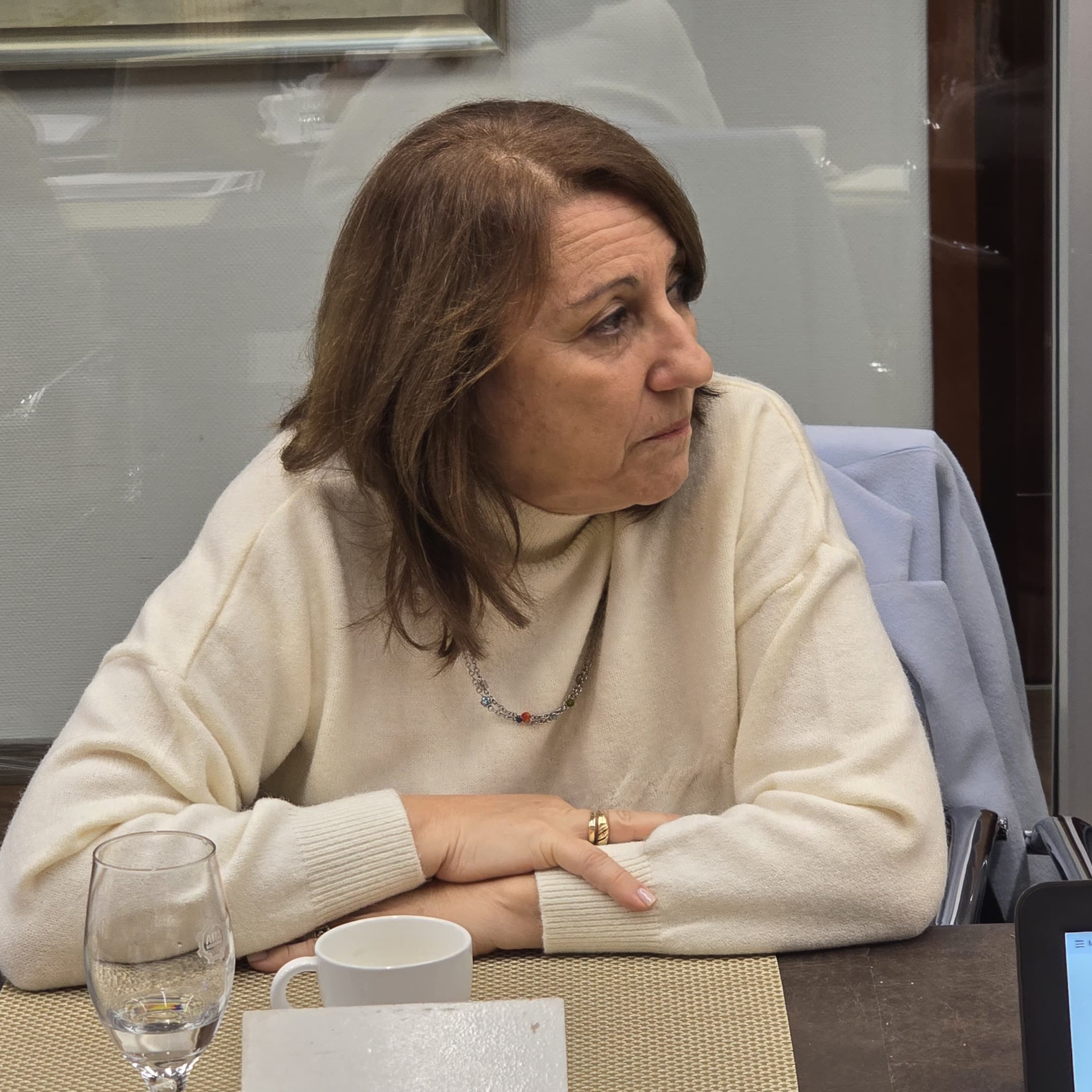 La Comisión Directiva se reunió con Mónica Fein para hablar sobre la situación del sector y la elaboración de la Ley PyME